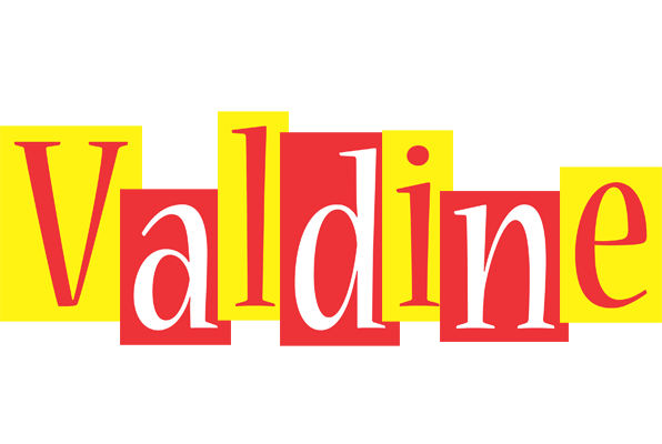 Valdine errors logo