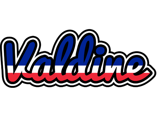 Valdine france logo