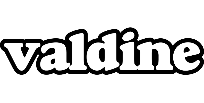 Valdine panda logo