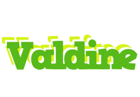 Valdine picnic logo