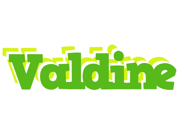 Valdine picnic logo