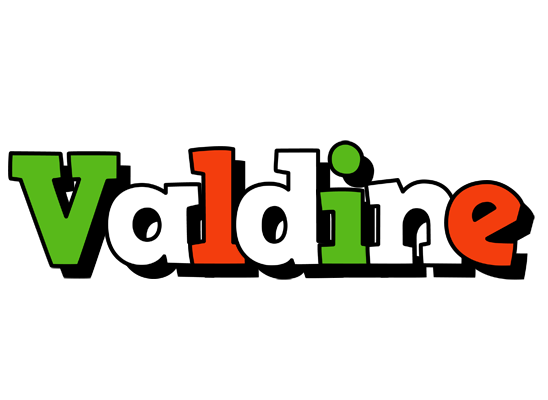 Valdine venezia logo