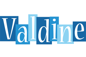 Valdine winter logo