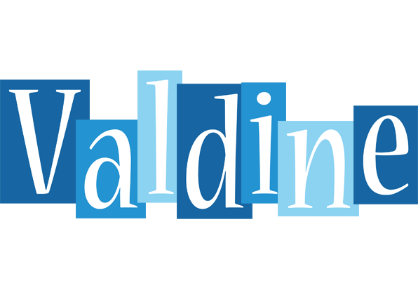 Valdine winter logo