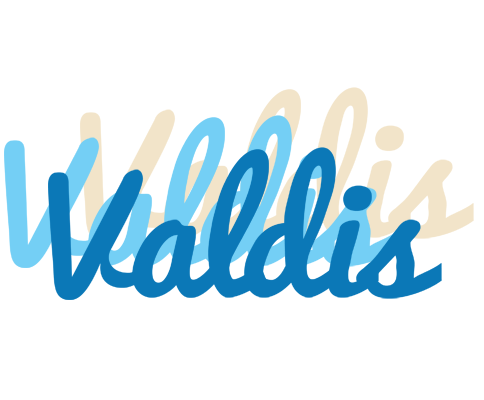Valdis breeze logo