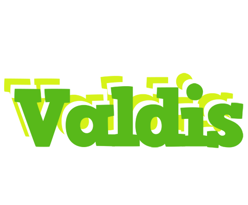 Valdis picnic logo