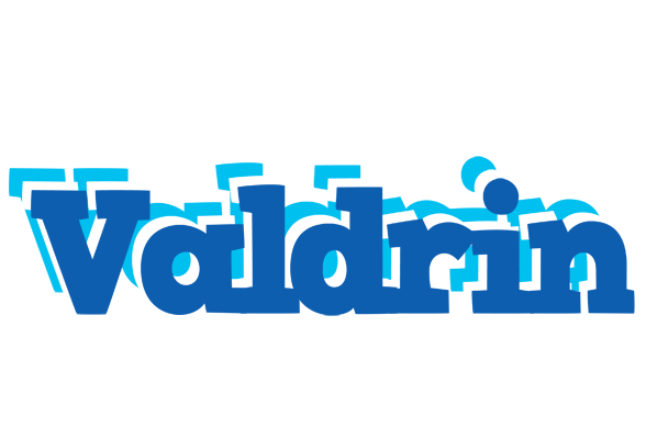 Valdrin business logo