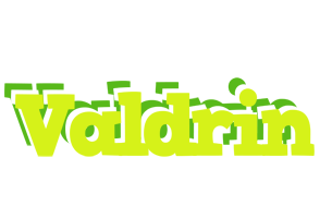 Valdrin citrus logo