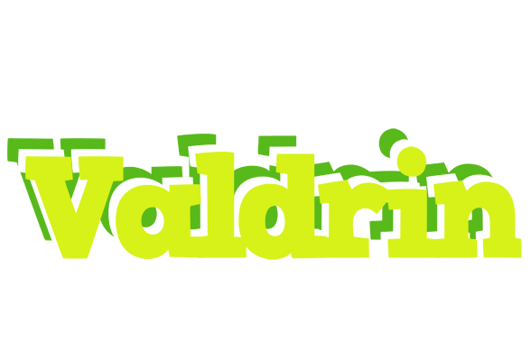 Valdrin citrus logo