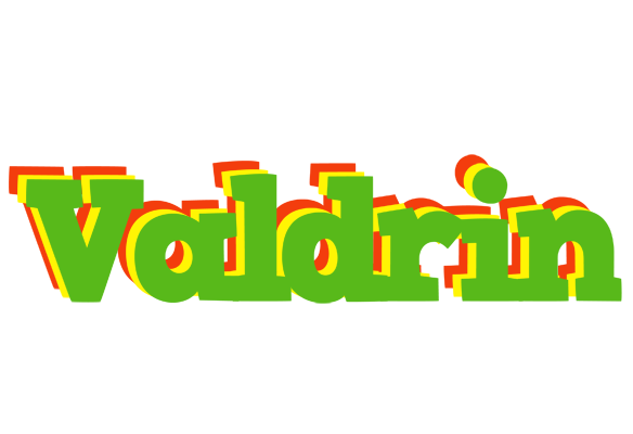 Valdrin crocodile logo