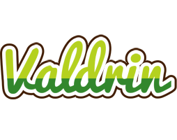 Valdrin golfing logo