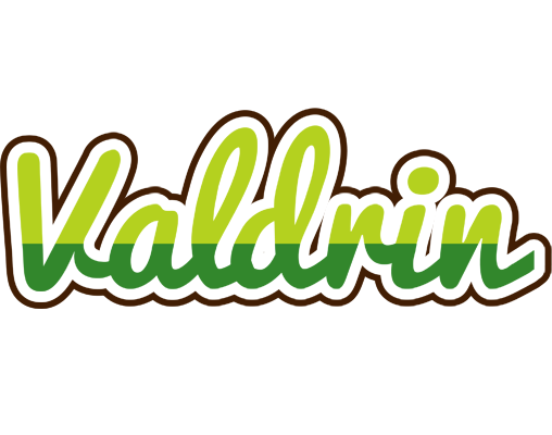 Valdrin golfing logo