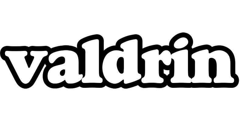 Valdrin panda logo