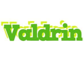 Valdrin picnic logo