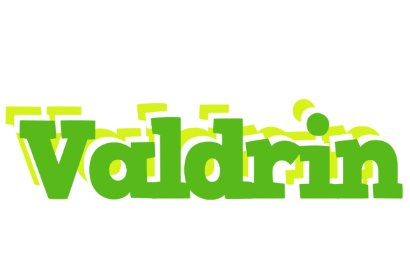 Valdrin picnic logo
