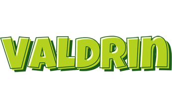 Valdrin summer logo