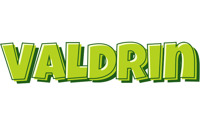 Valdrin summer logo
