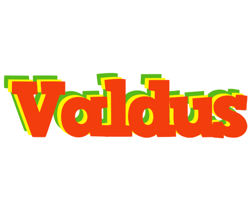 Valdus bbq logo