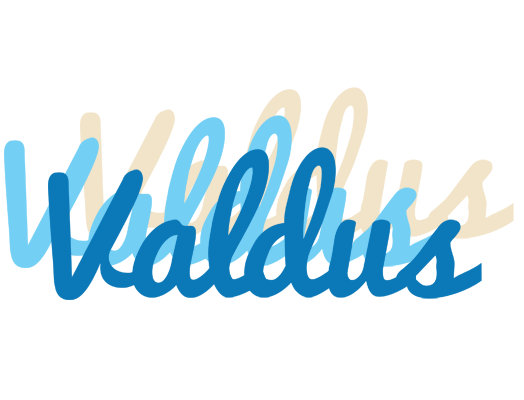 Valdus breeze logo