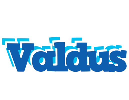 Valdus business logo