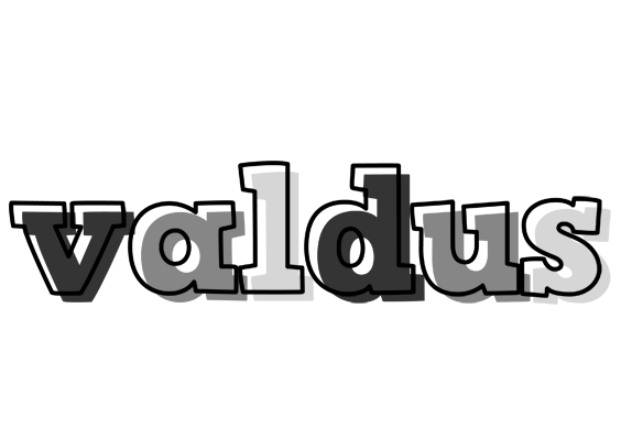 Valdus night logo
