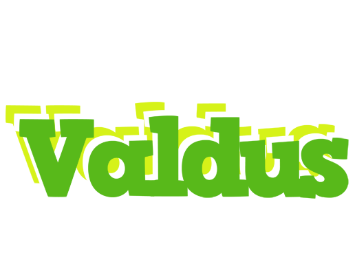 Valdus picnic logo