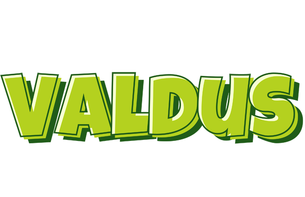 Valdus summer logo