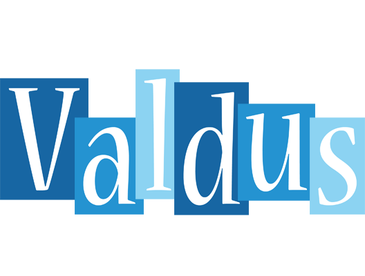 Valdus winter logo