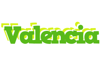 Valencia picnic logo