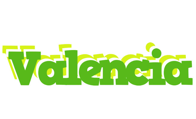 Valencia picnic logo