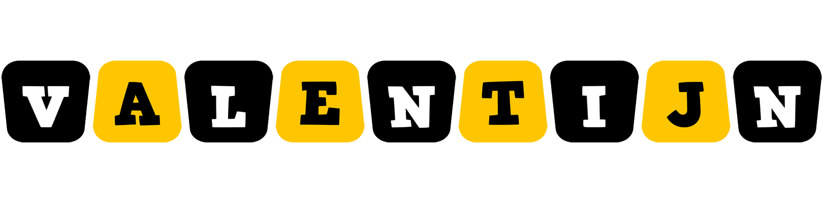 Valentijn boots logo
