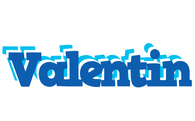 Valentin business logo