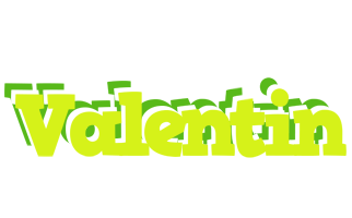 Valentin citrus logo