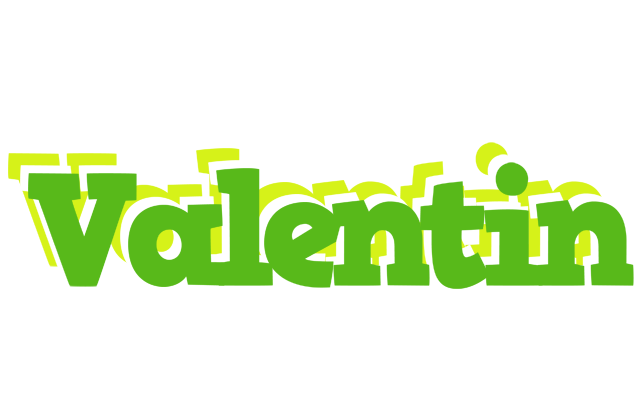 Valentin picnic logo