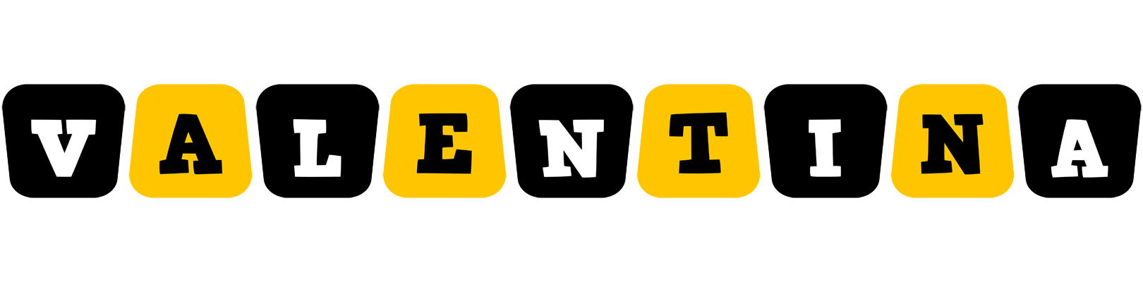 Valentina boots logo