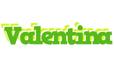 Valentina picnic logo