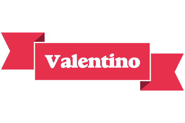 Valentino sale logo