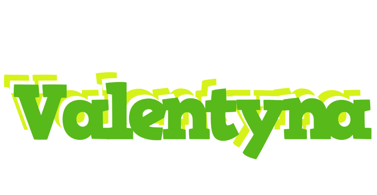 Valentyna picnic logo