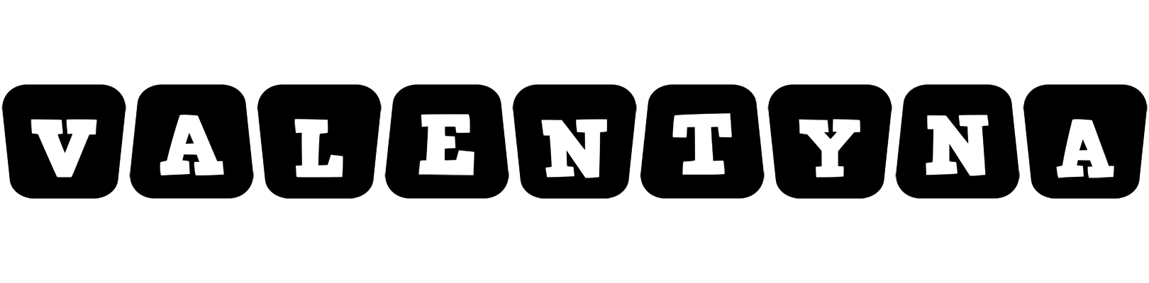 Valentyna racing logo