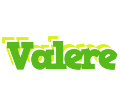 Valere picnic logo