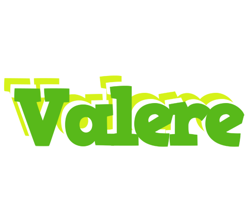Valere picnic logo