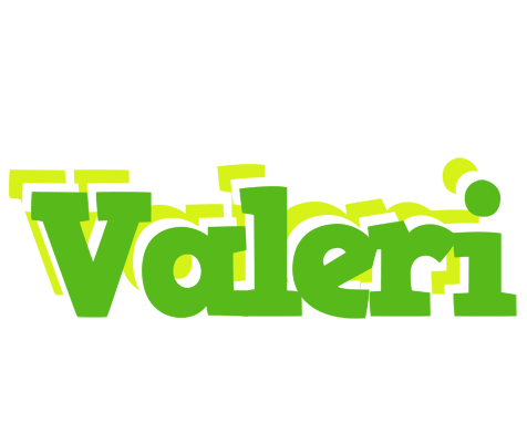 Valeri picnic logo