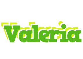 Valeria picnic logo