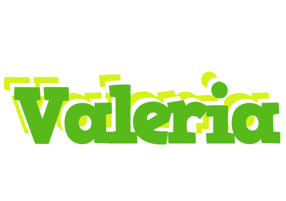 Valeria picnic logo
