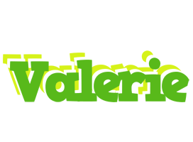 Valerie picnic logo