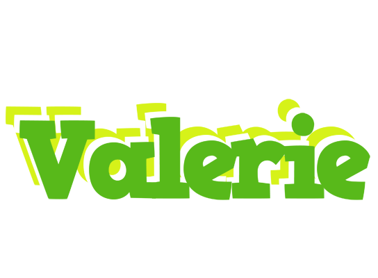 Valerie picnic logo
