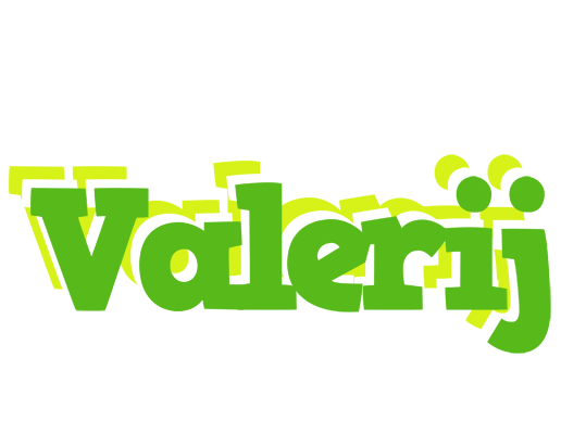 Valerij picnic logo