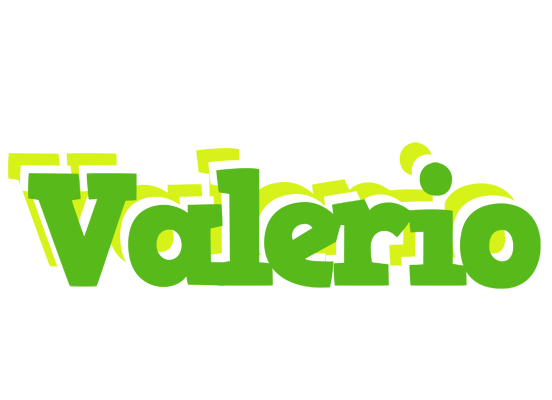 Valerio picnic logo