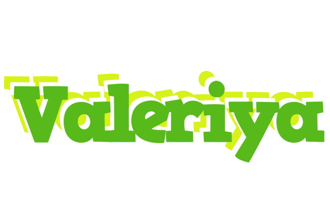 Valeriya picnic logo