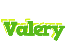 Valery picnic logo